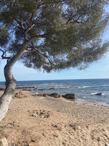 Le Poseidon Saint-Raphael (Var) Exterior foto